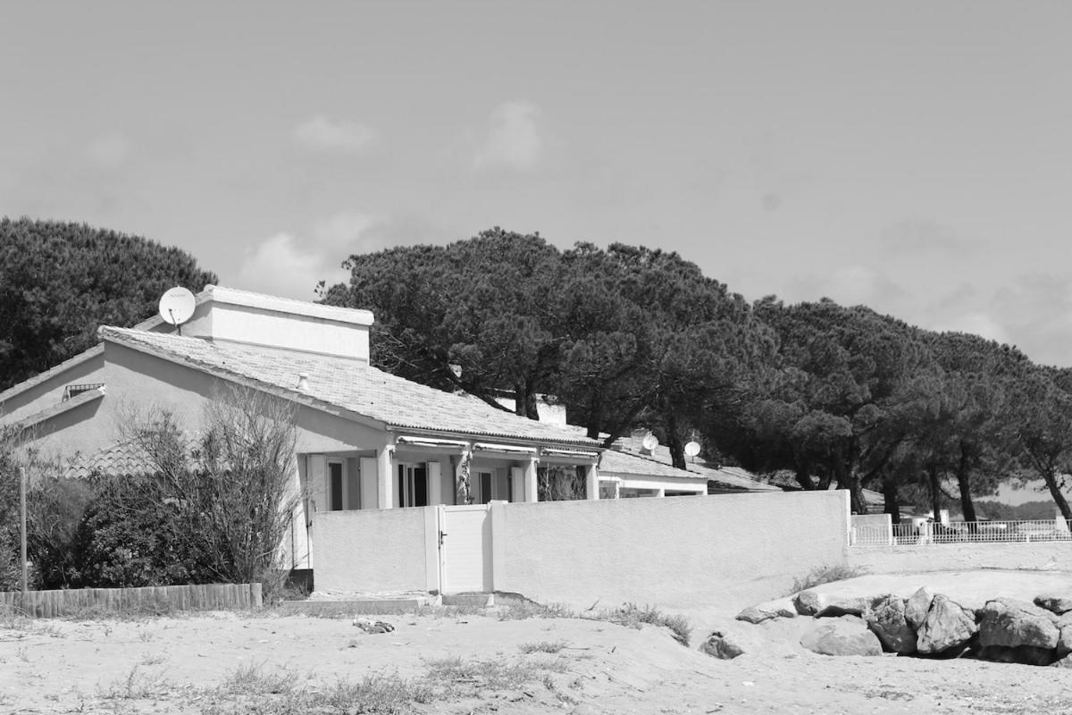 Bord de mer, pieds dans l'eau, vue panoramique Villa San-Nicolao Exterior photo