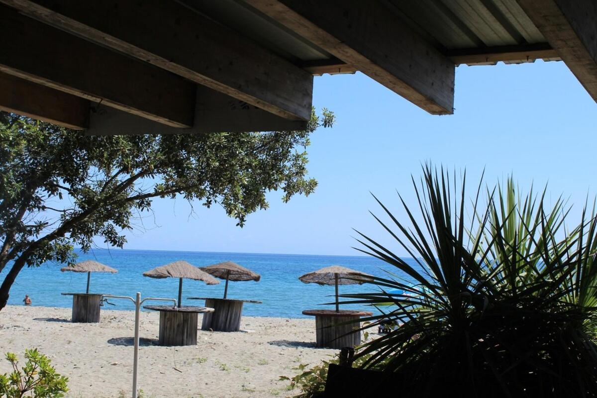 Bord de mer, pieds dans l'eau, vue panoramique Villa San-Nicolao Exterior photo