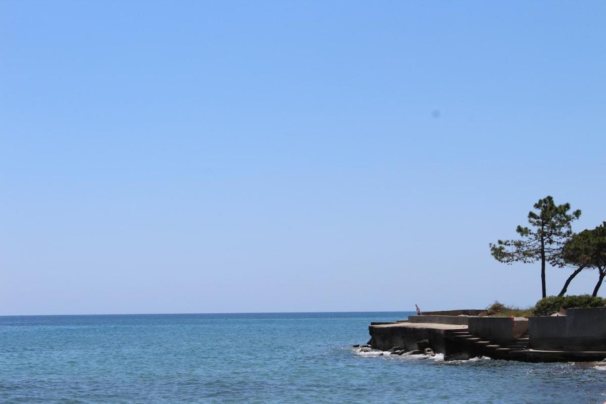 Bord de mer, pieds dans l'eau, vue panoramique Villa San-Nicolao Exterior photo