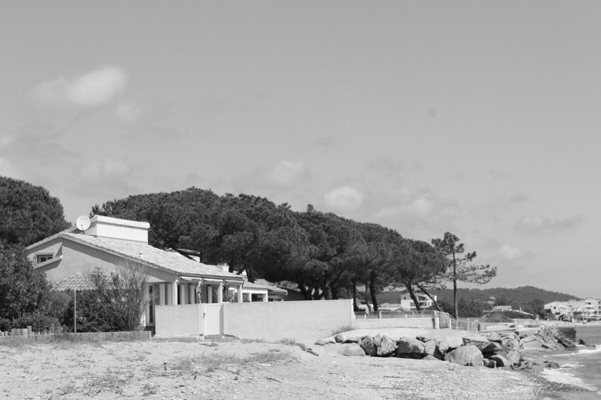 Bord de mer, pieds dans l'eau, vue panoramique Villa San-Nicolao Exterior photo